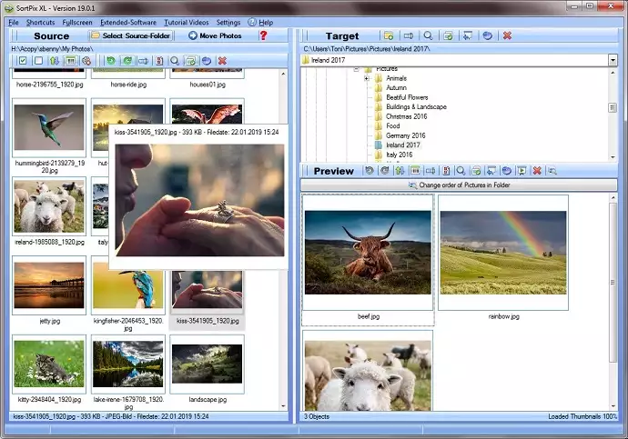 Organizador de fotos Windows 10