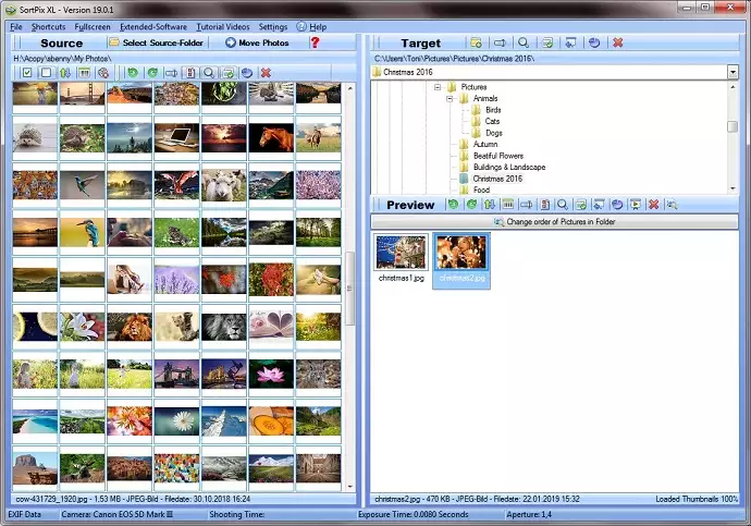 Organizador de fotos Windows 11